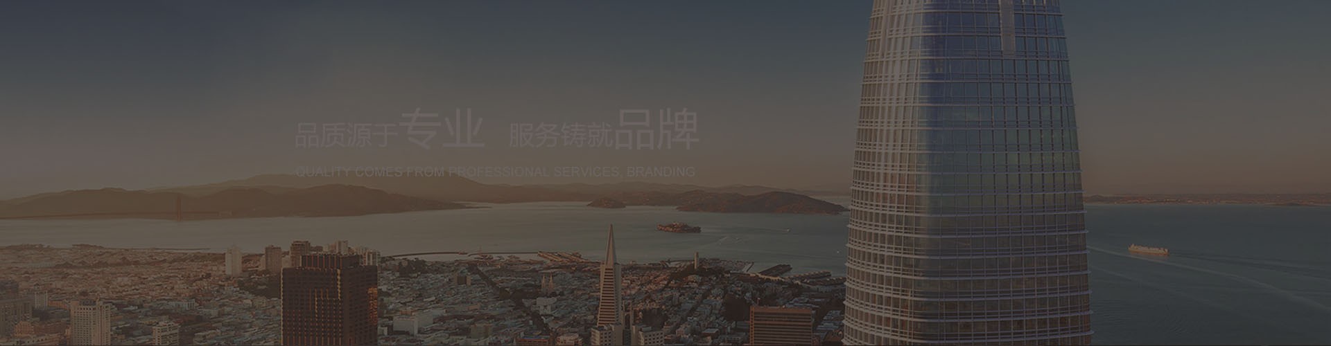 減振器系列